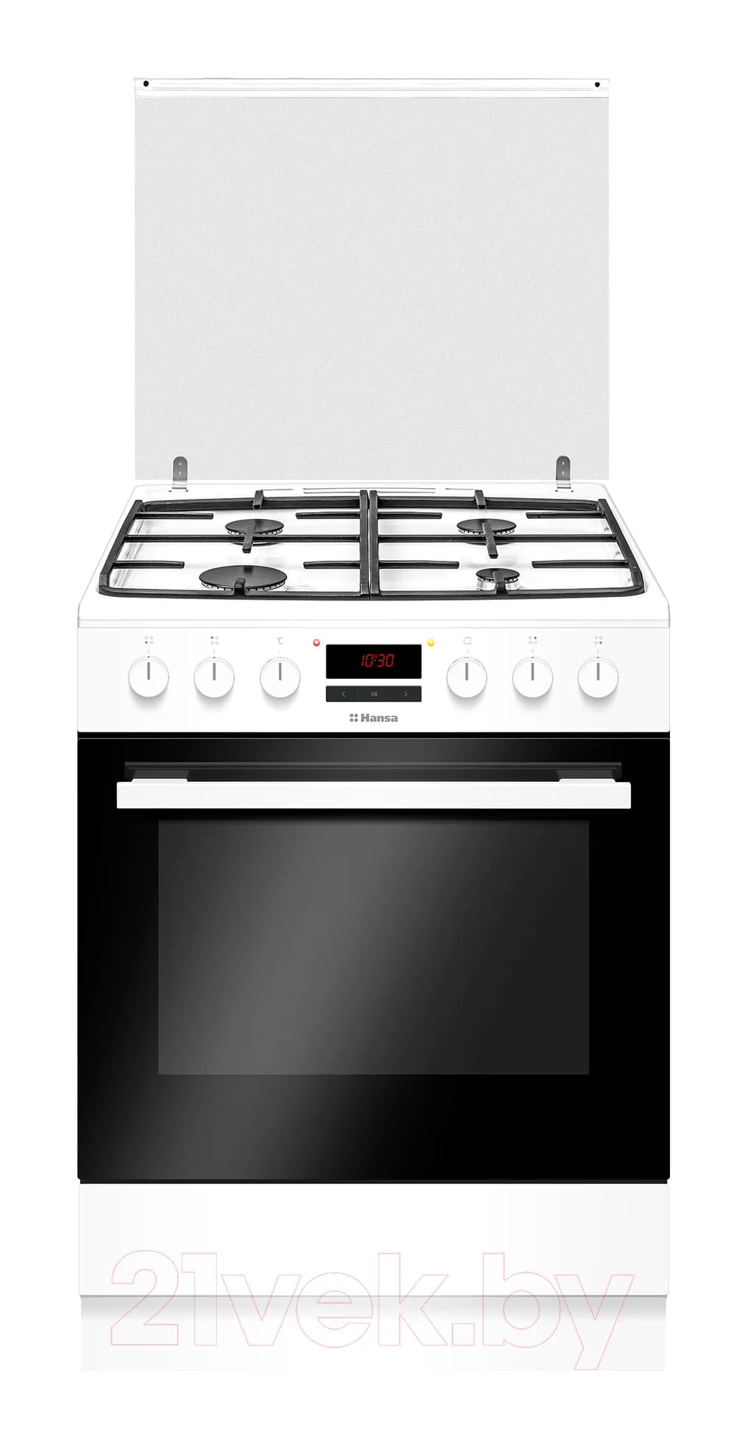 Плита газоэлектрическая Hansa FCMW68229