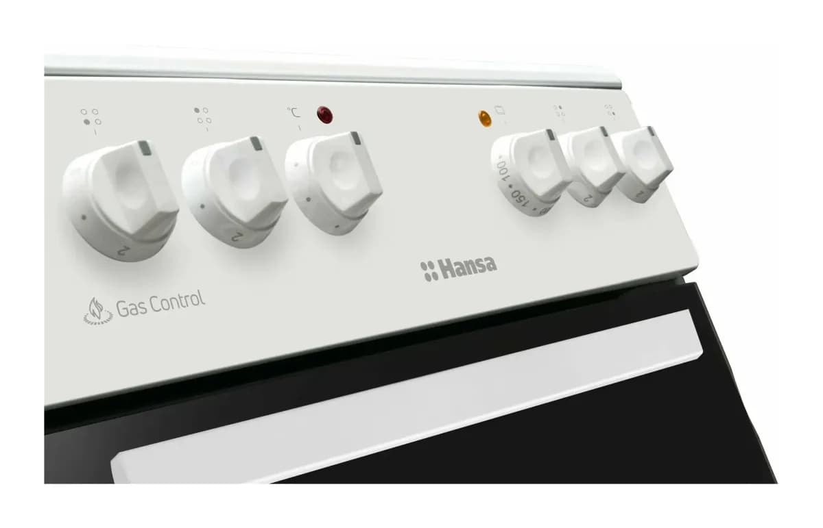 Плита газоэлектрическая Hansa FCMW56069H