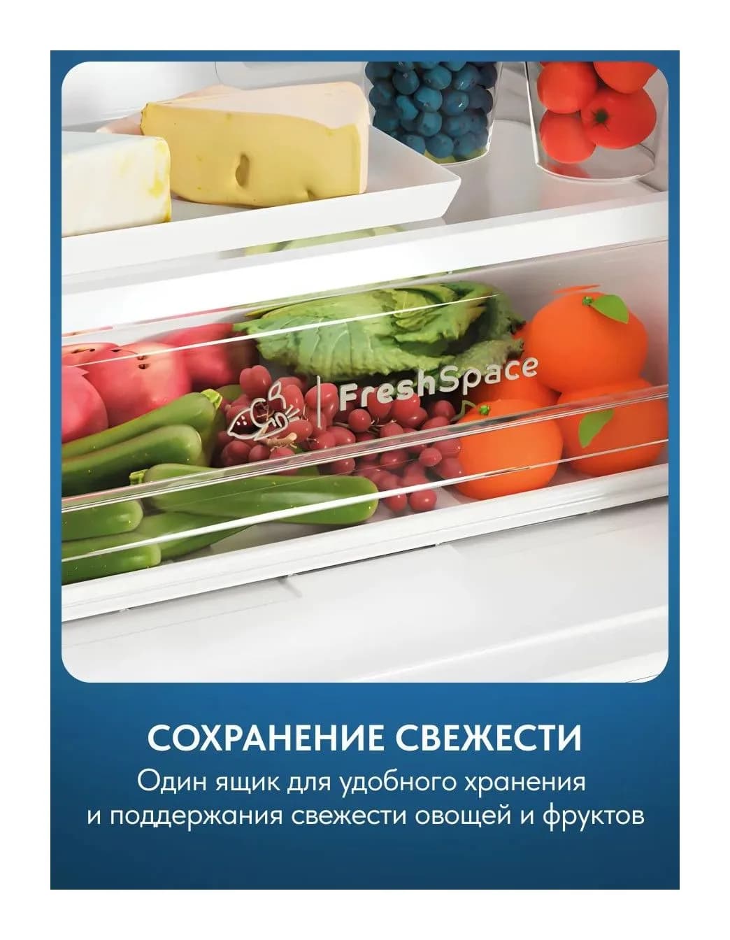 Холодильник с морозильником Indesit ITR 4160 W