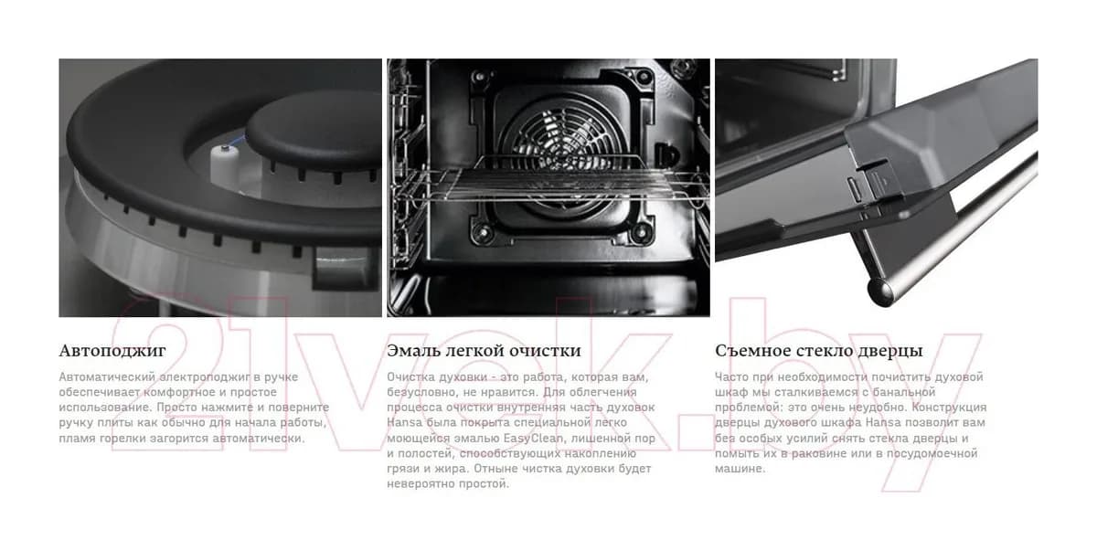 Плита газовая Hansa FCGW580977