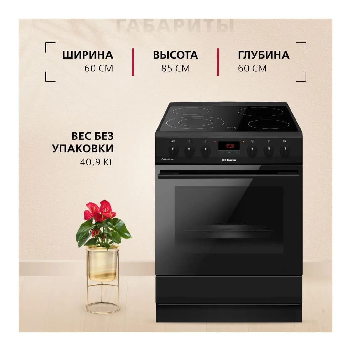 Плита электрическая Hansa FCCM69225H