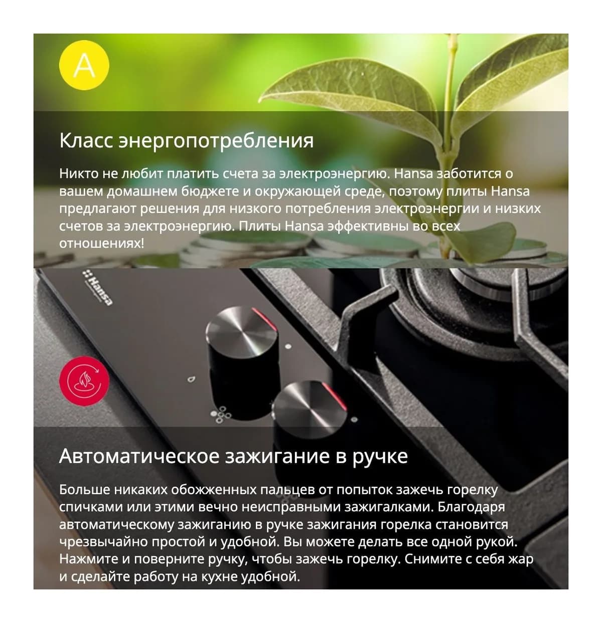 Плита газоэлектрическая Hansa FCMW59329