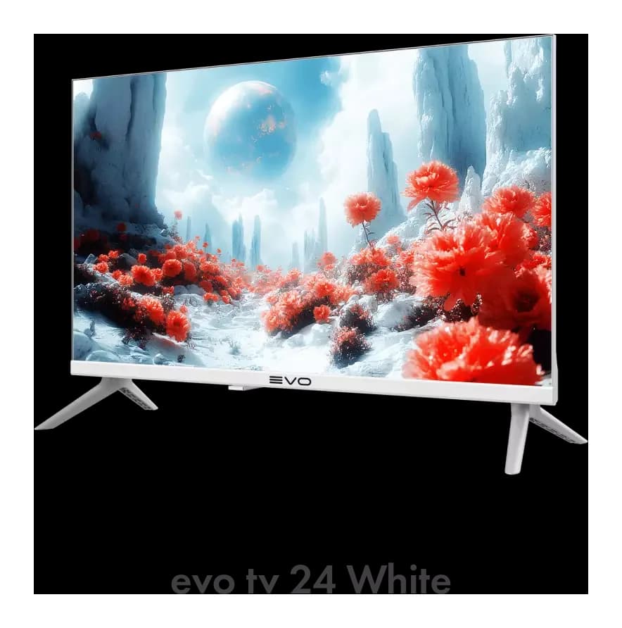 Телевизор Evo TV 24" (белый)