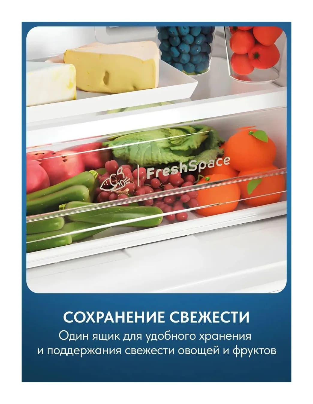 Холодильник с морозильником Indesit ITR 5180 E