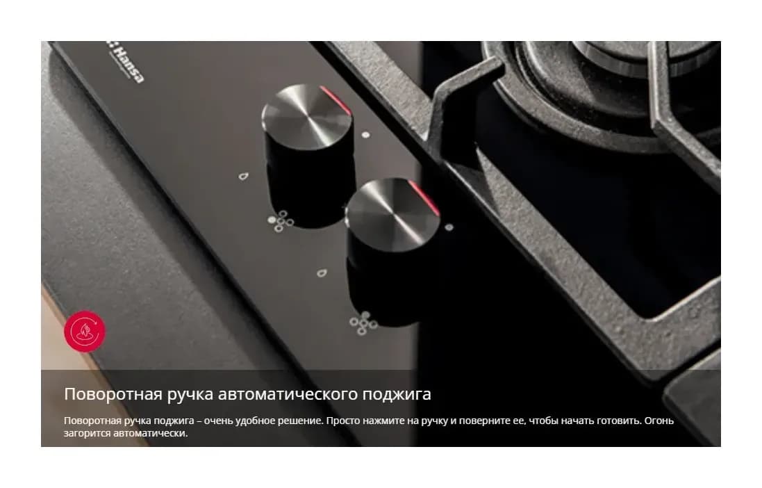 Плита газоэлектрическая Hansa FCMM69329