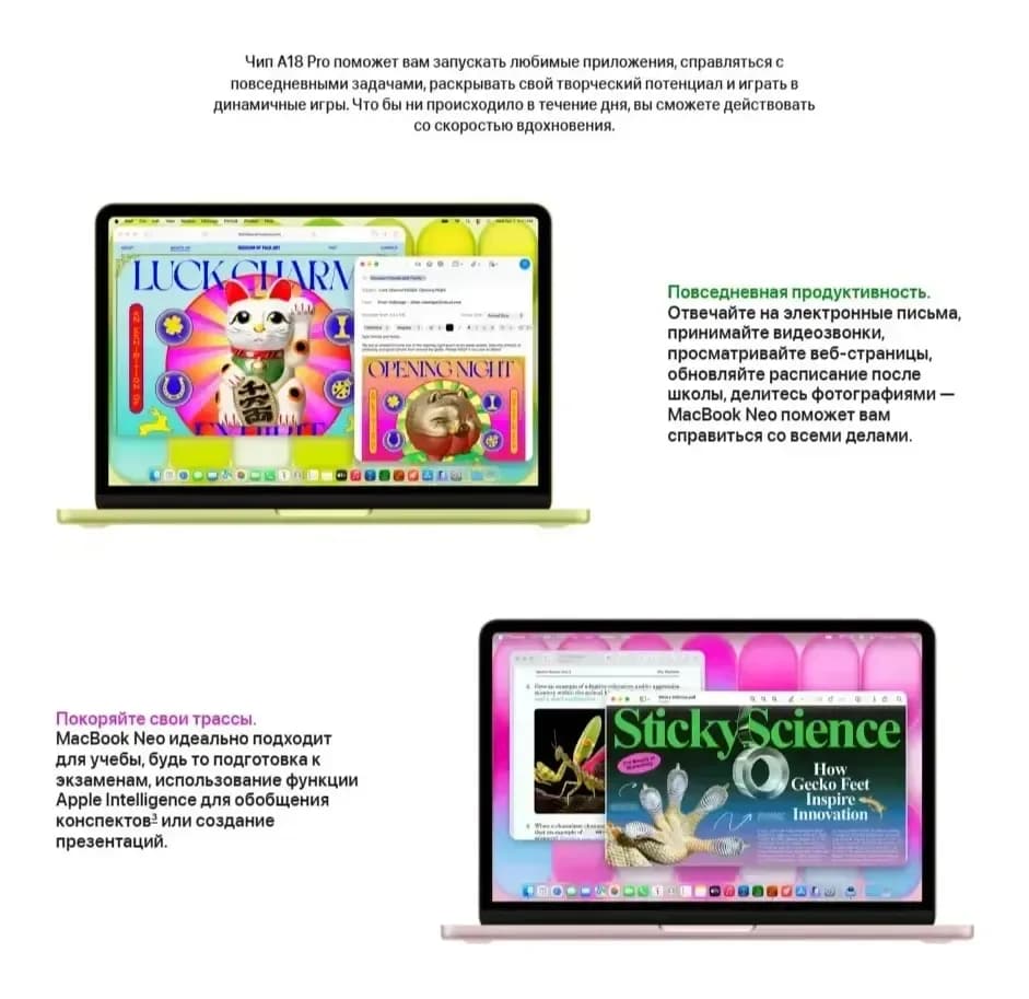 Ноутбук Apple MacBook Neo 13" A3404 A18 Pro / MHFC4 (серебристый)