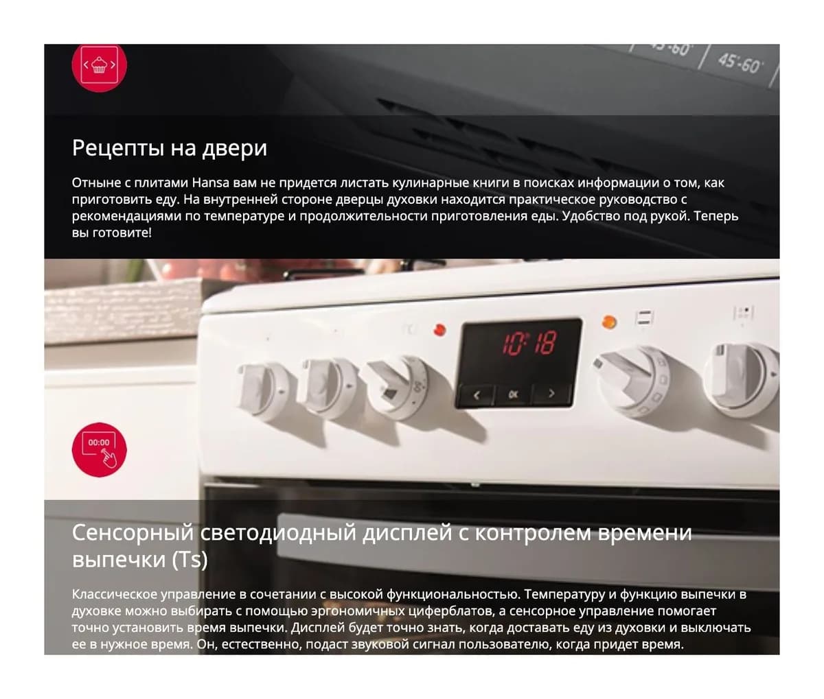 Плита газоэлектрическая Hansa FCMW59329