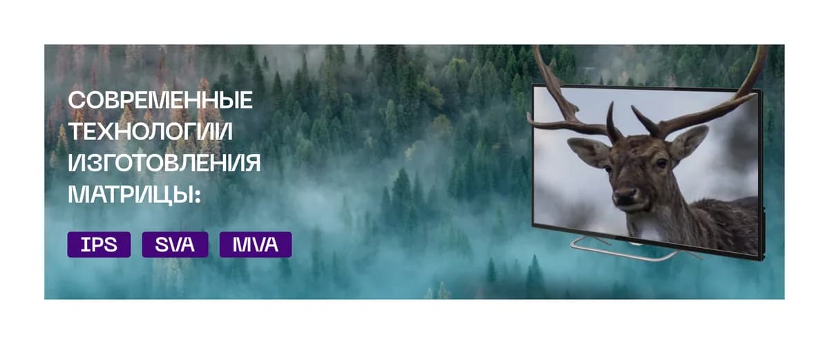 Телевизор POLARLine 32" 32PL55TC-SM