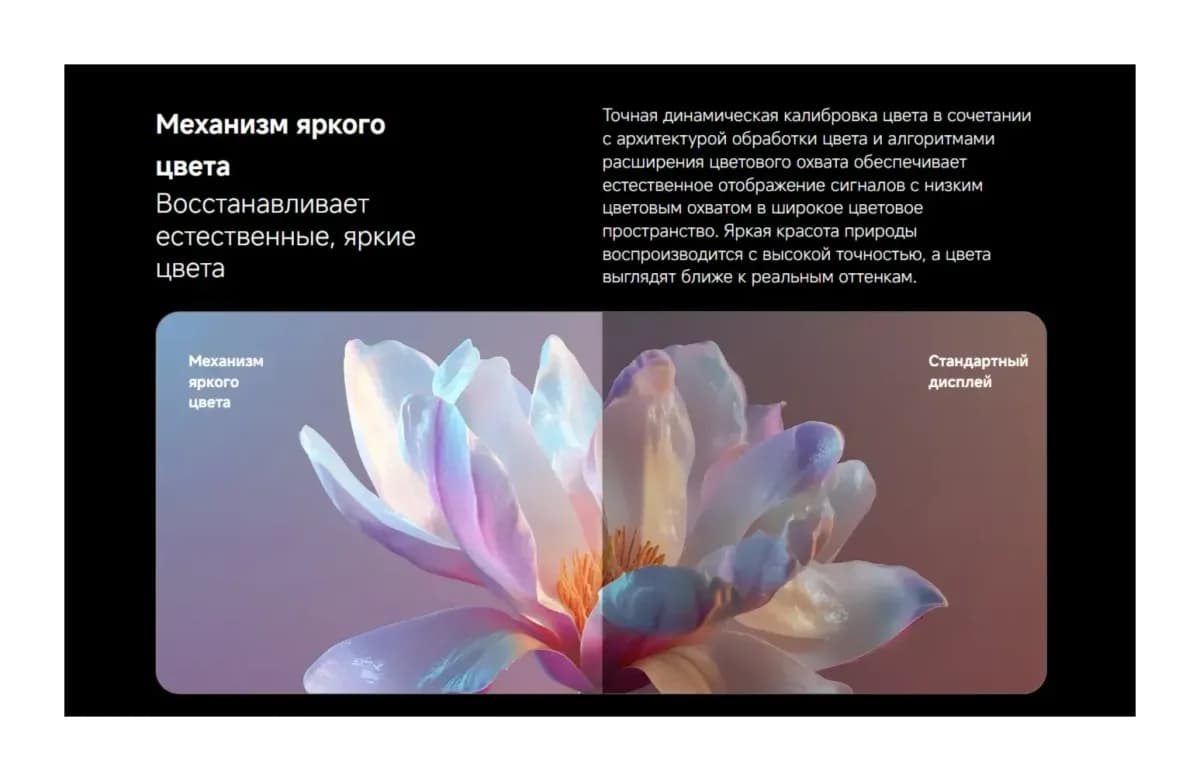 Телевизор Xiaomi TV X Mini LED 43 L43MC-SMRU / ELA6770RU