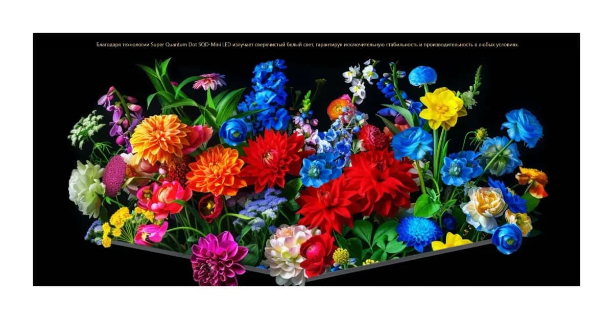 Телевизор TCL 55" 55C89L