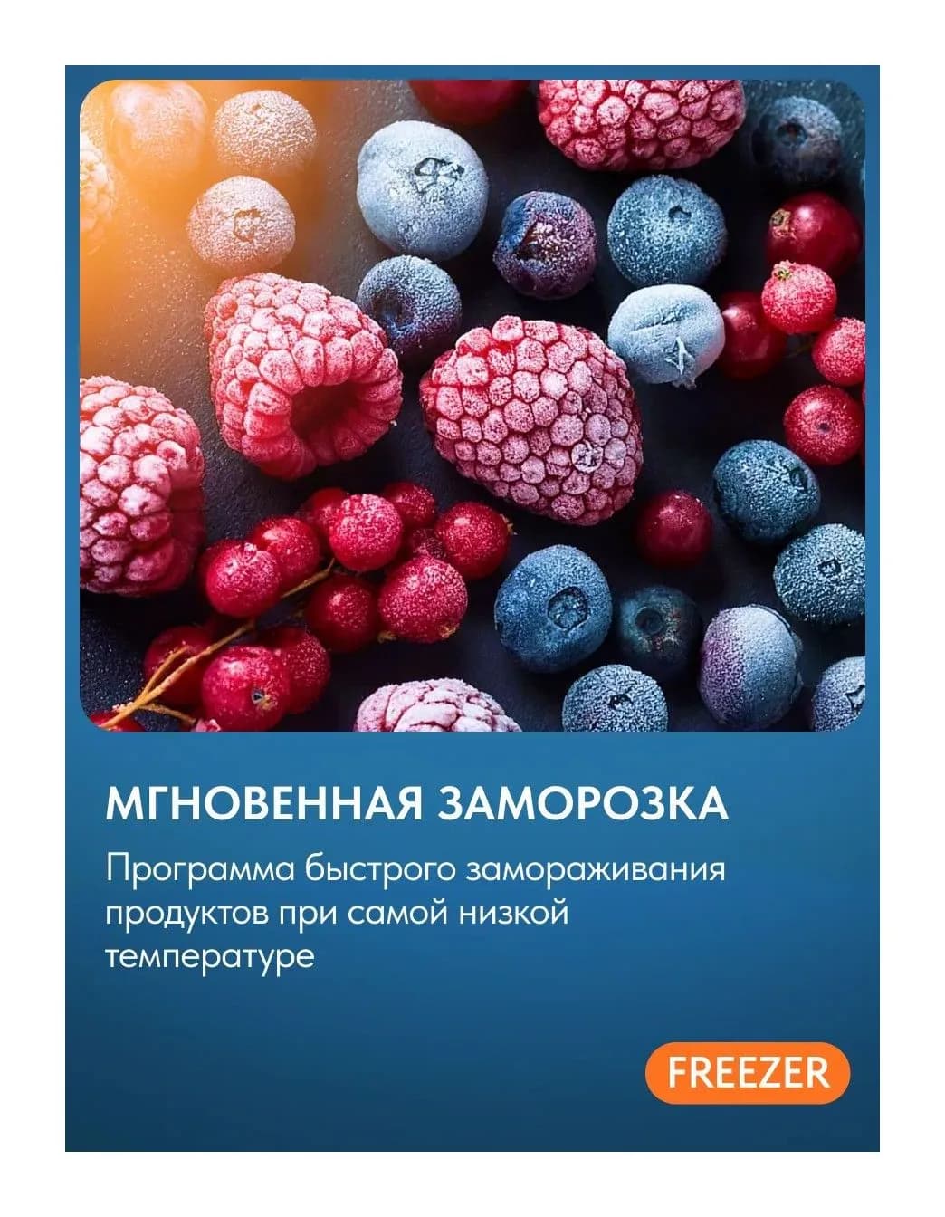 Холодильник с морозильником Indesit ITR 4200 W