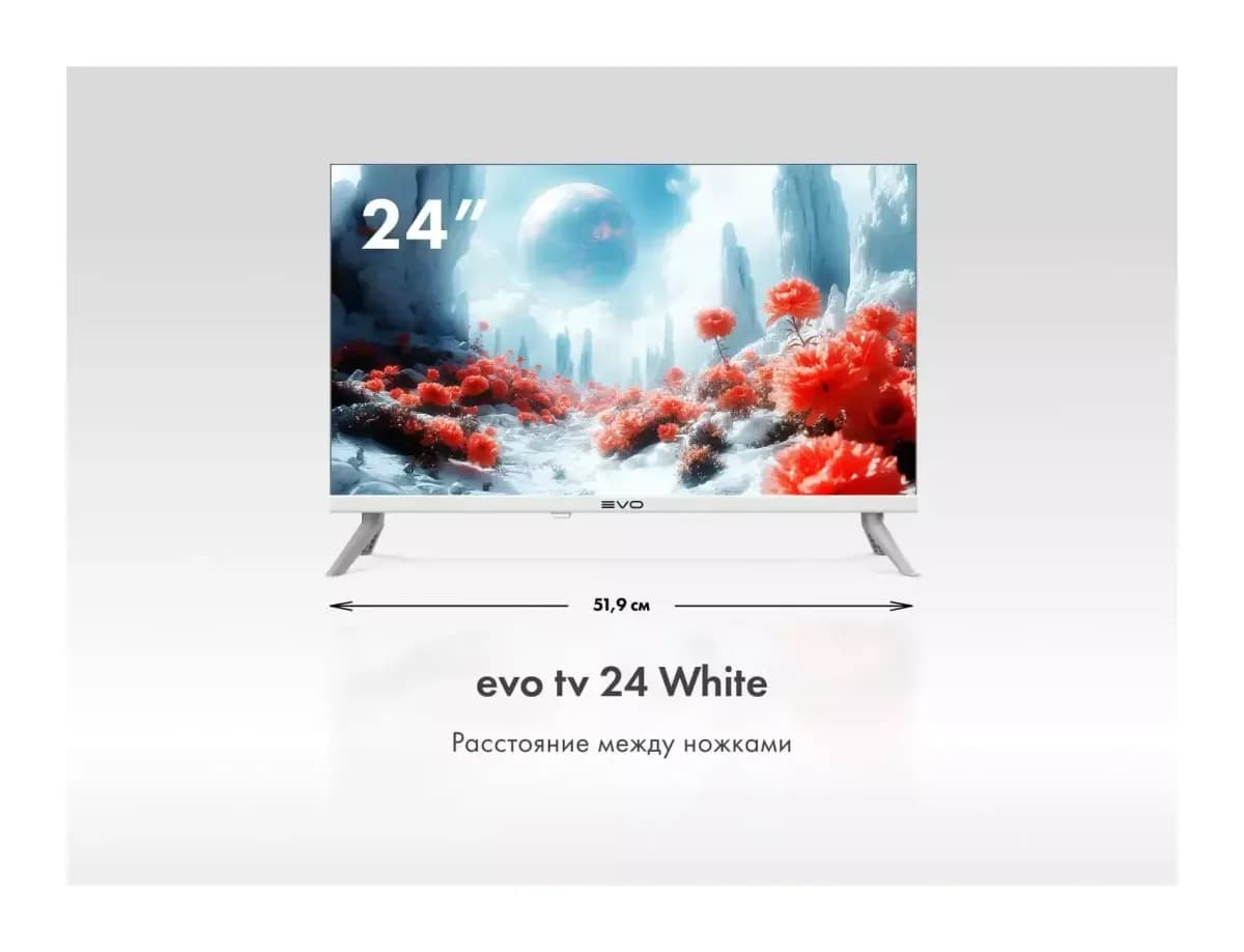 Телевизор Evo TV 24" (белый)