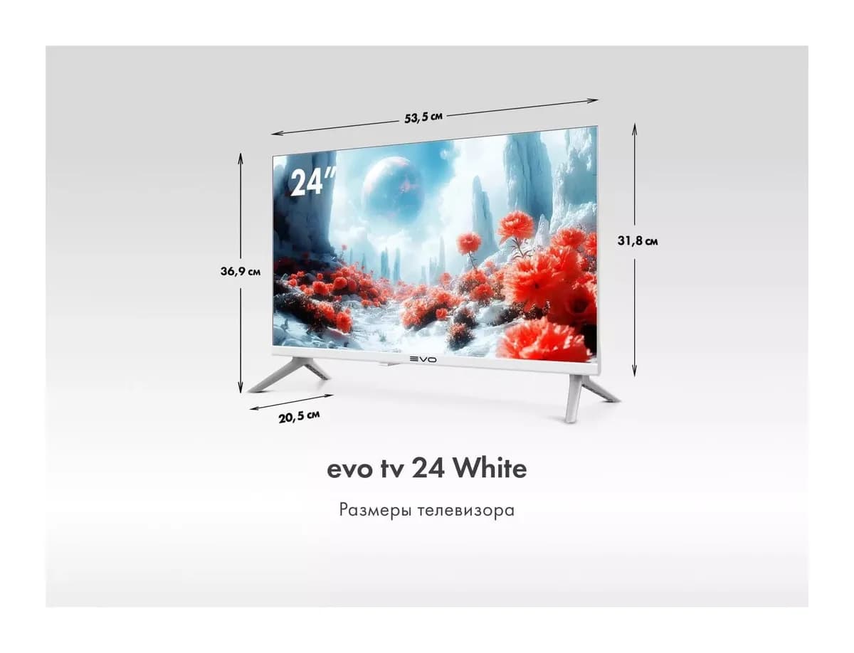 Телевизор Evo TV 24" (белый)